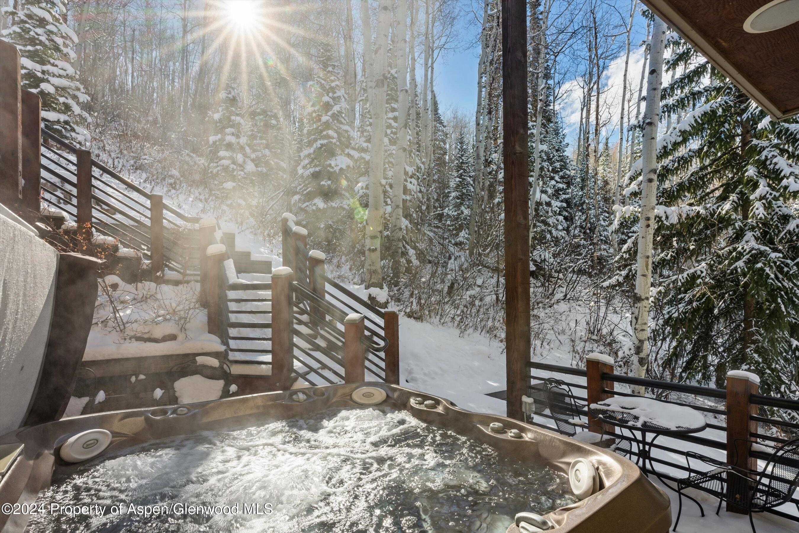 76 Ridge Road Snowmass Village, CO 81615 - Photo 29 of 42 Back Patio