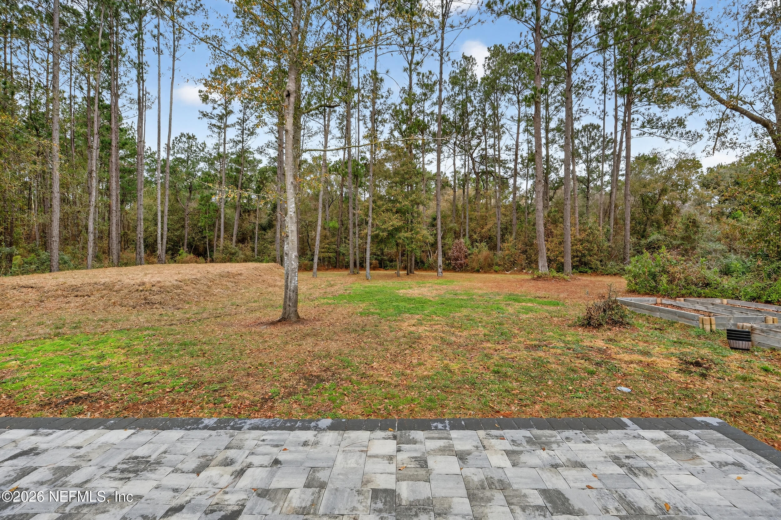 4028 Little Bit Court Middleburg, FL 32068 - Photo 41 of 47 a backyard of a house with lots of green space