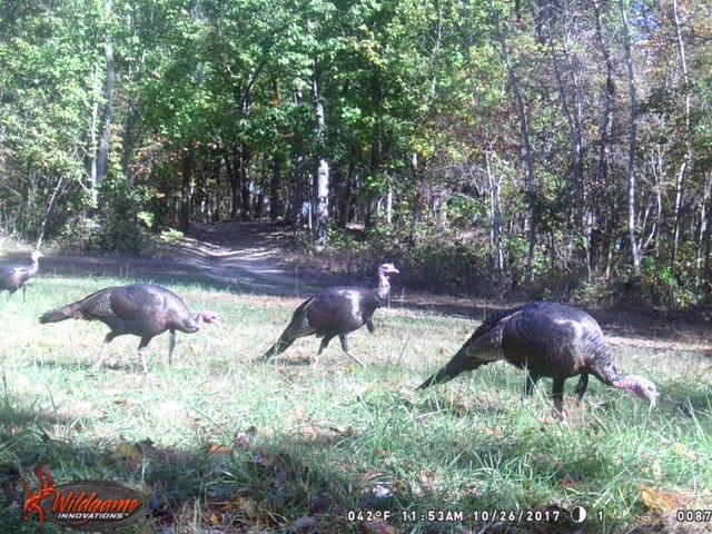 10450 Rich Hollow Road Southwest Lancaster, OH 43130 - Photo 21 of 24