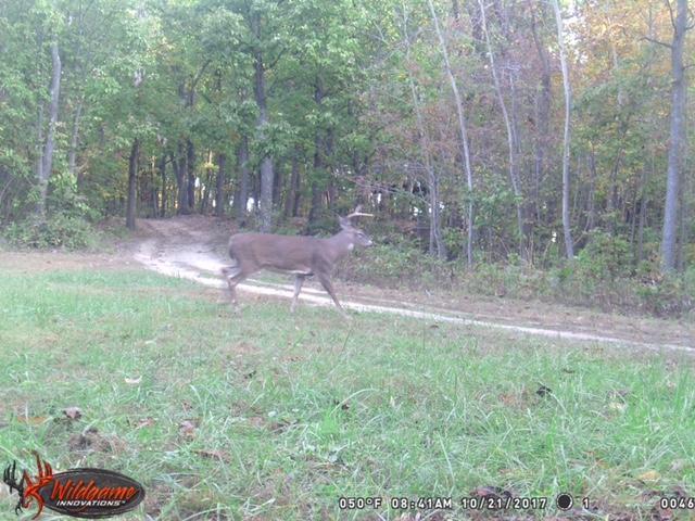 10450 Rich Hollow Road Southwest Lancaster, OH 43130 - Photo 24 of 24