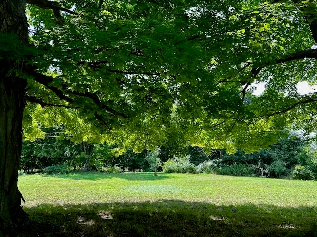 $25,900 | 1837 South 200th Avenue, Hesperia, MI 49421