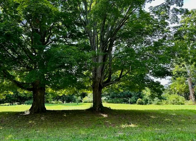 $25,900 | 1837 South 200th Avenue, Hesperia, MI 49421