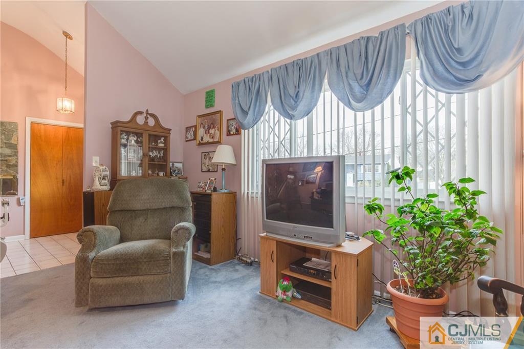 16 Fulton Road Somerset, NJ 08873 - Photo 8 of 25 a living room with furniture a fireplace and a potted plant