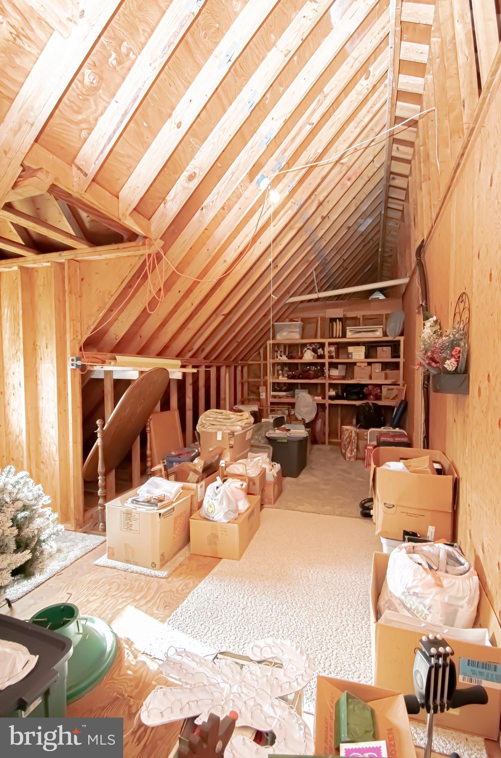 3 Princeton Road Milford, DE 19963 - Photo 37 of 46 Gallery Image 37