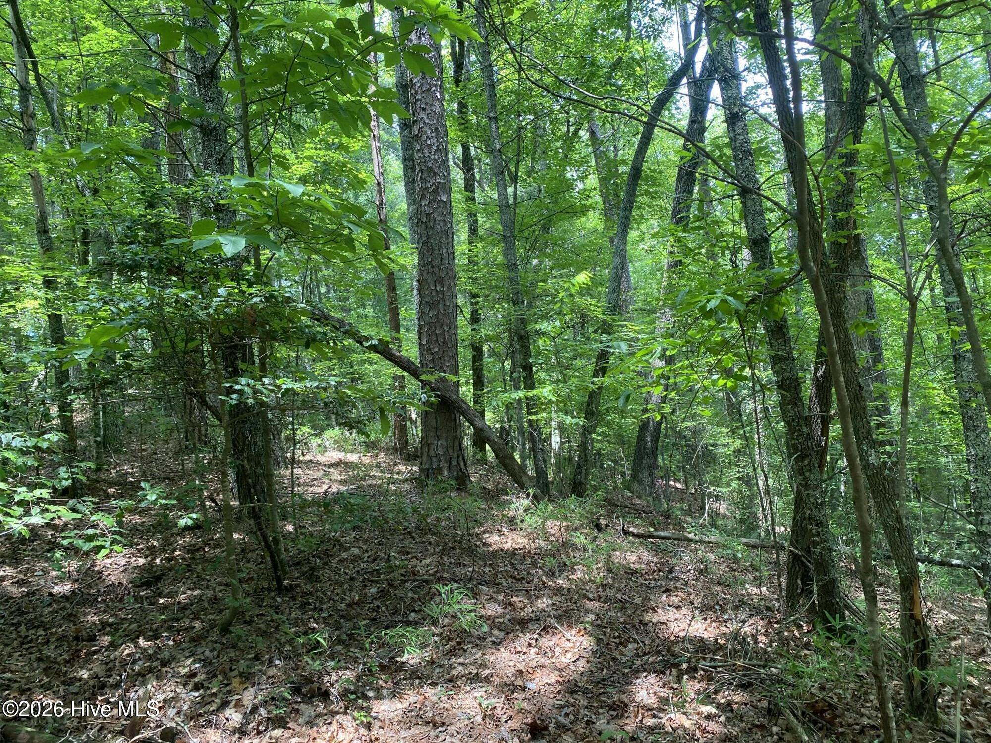 2340 Candy Mountain Road Murphy, NC 28906 - Photo 5 of 8