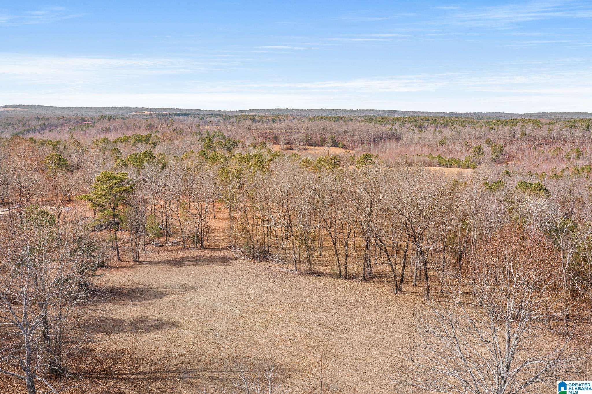 575 Mountain View Lane Springville, AL 35146 - Photo 77 of 84