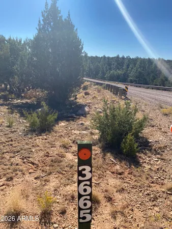 a view of mountains and covered with snow in the background