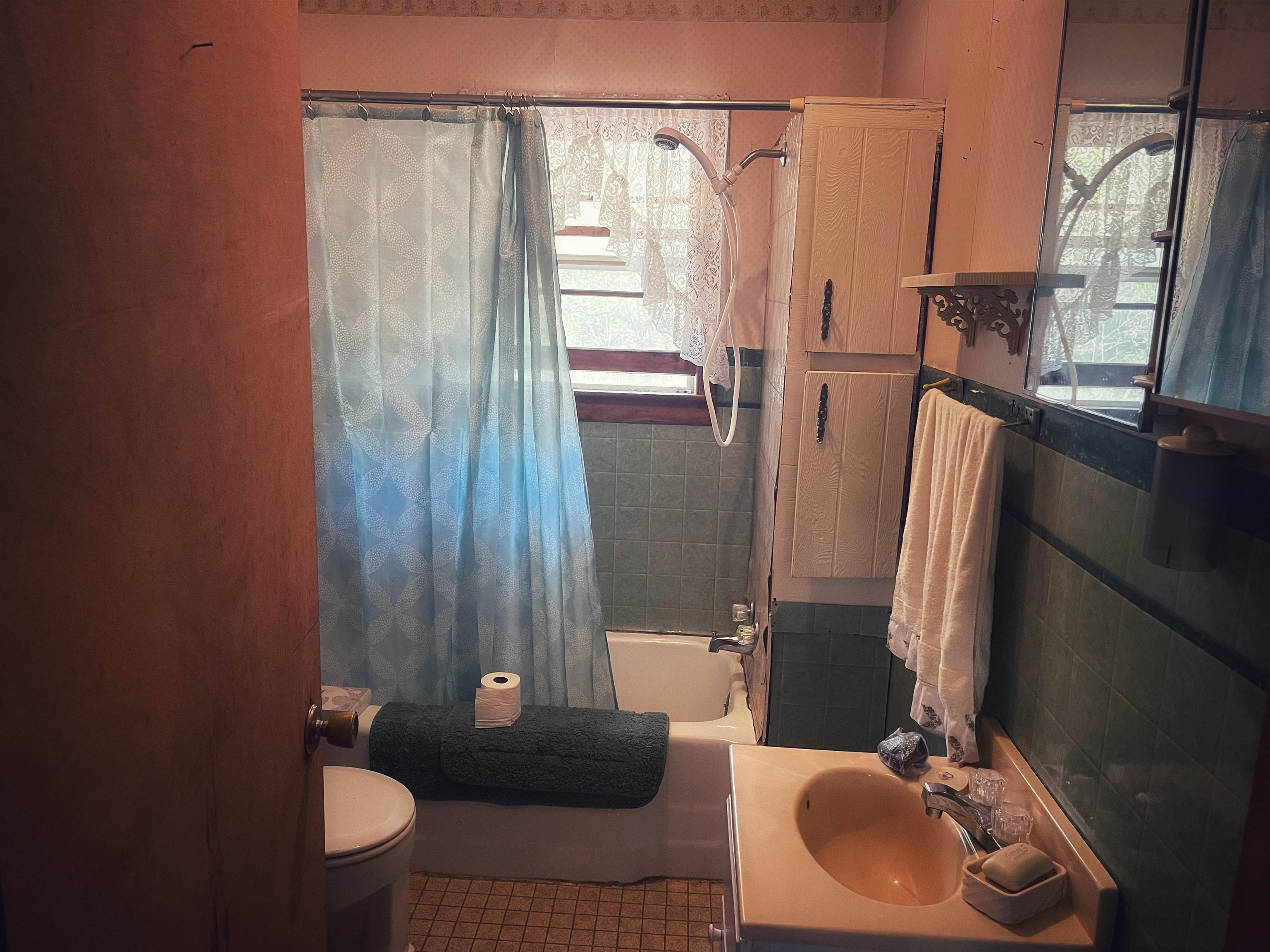 2168 Shawnettee Road Collinwood, TN 38450 - Photo 18 of 25 a bathroom with a sink toilet and shower