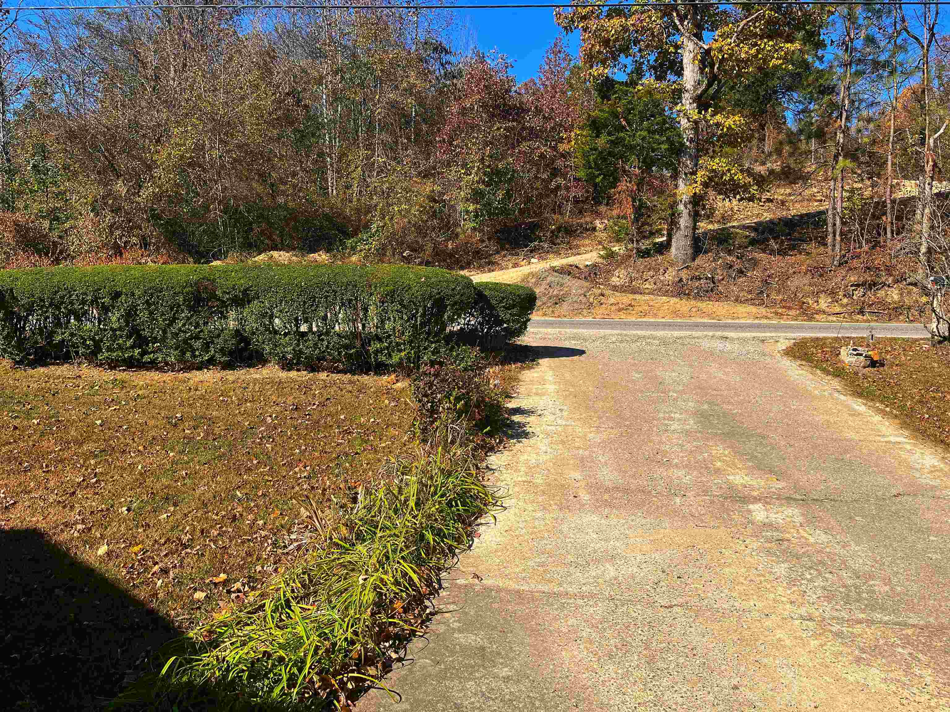 2168 Shawnettee Road Collinwood, TN 38450 - Photo 4 of 25 a view of yard with swimming pool