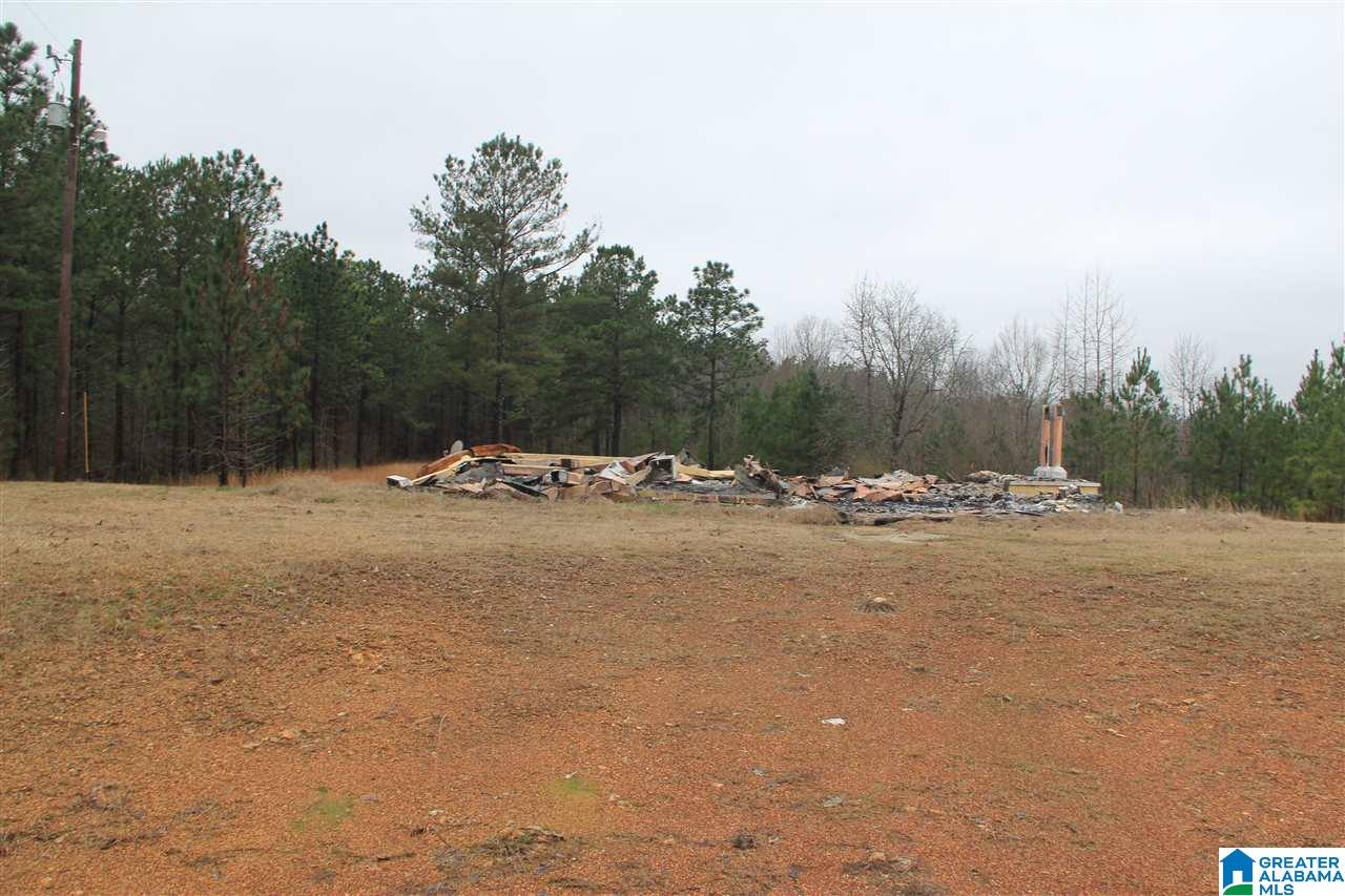1910 Feddisburg Road Alpine, AL 35014 - Photo 3 of 7