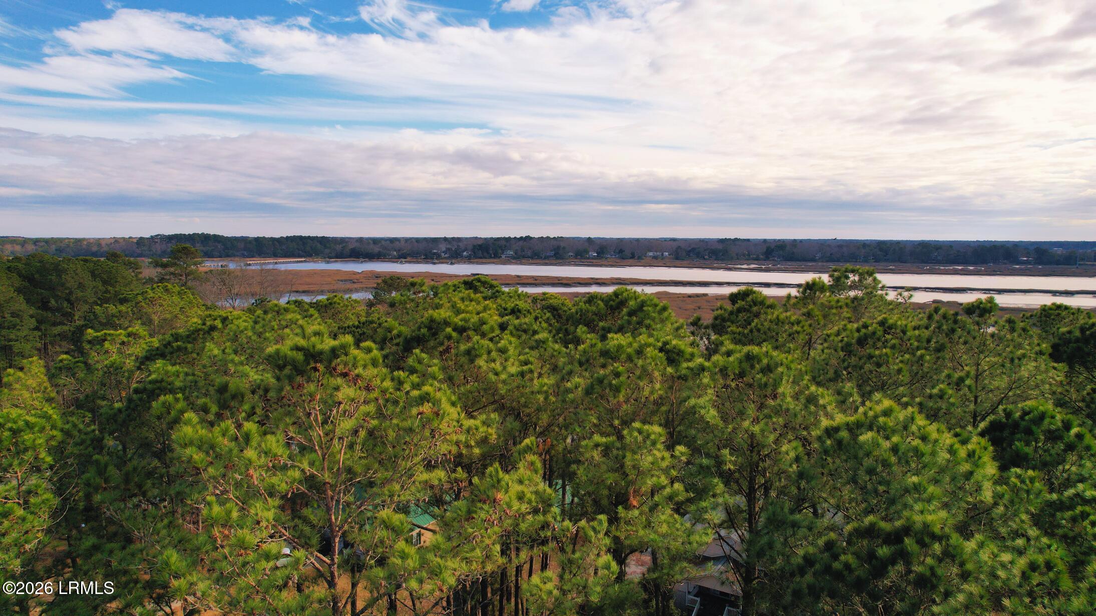 481 Paige Point Bluff Seabrook, SC 29940 - Photo 4 of 19 PPB_Lot_Overshot