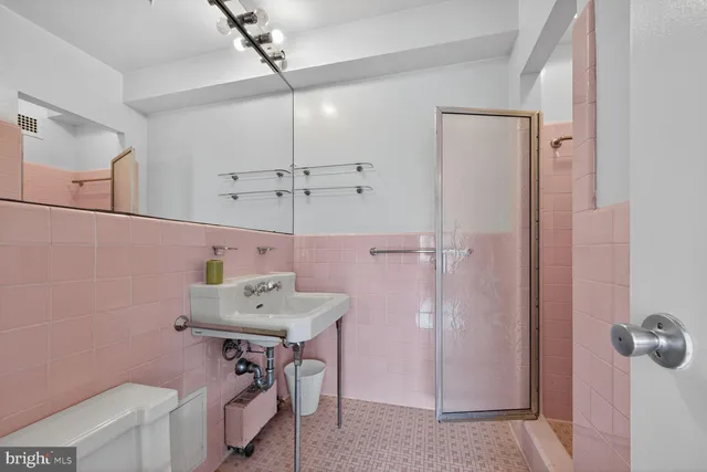 a bathroom with a sink a mirror and a shower