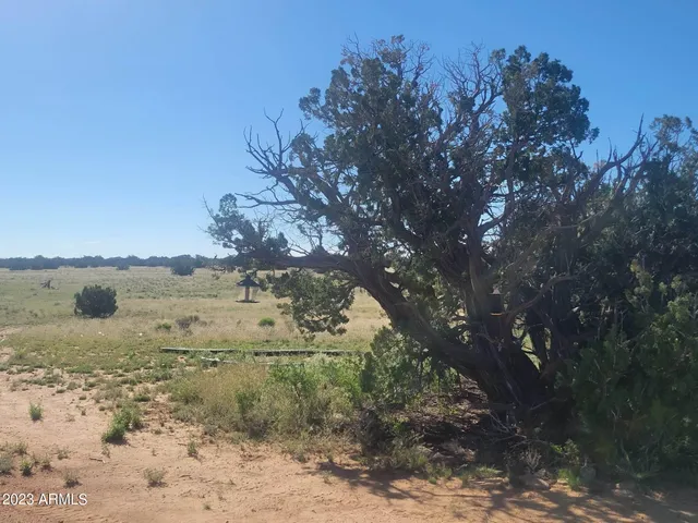 $29,900 | 0 North 6707th, Unit 66, St. Johns, AZ 85936