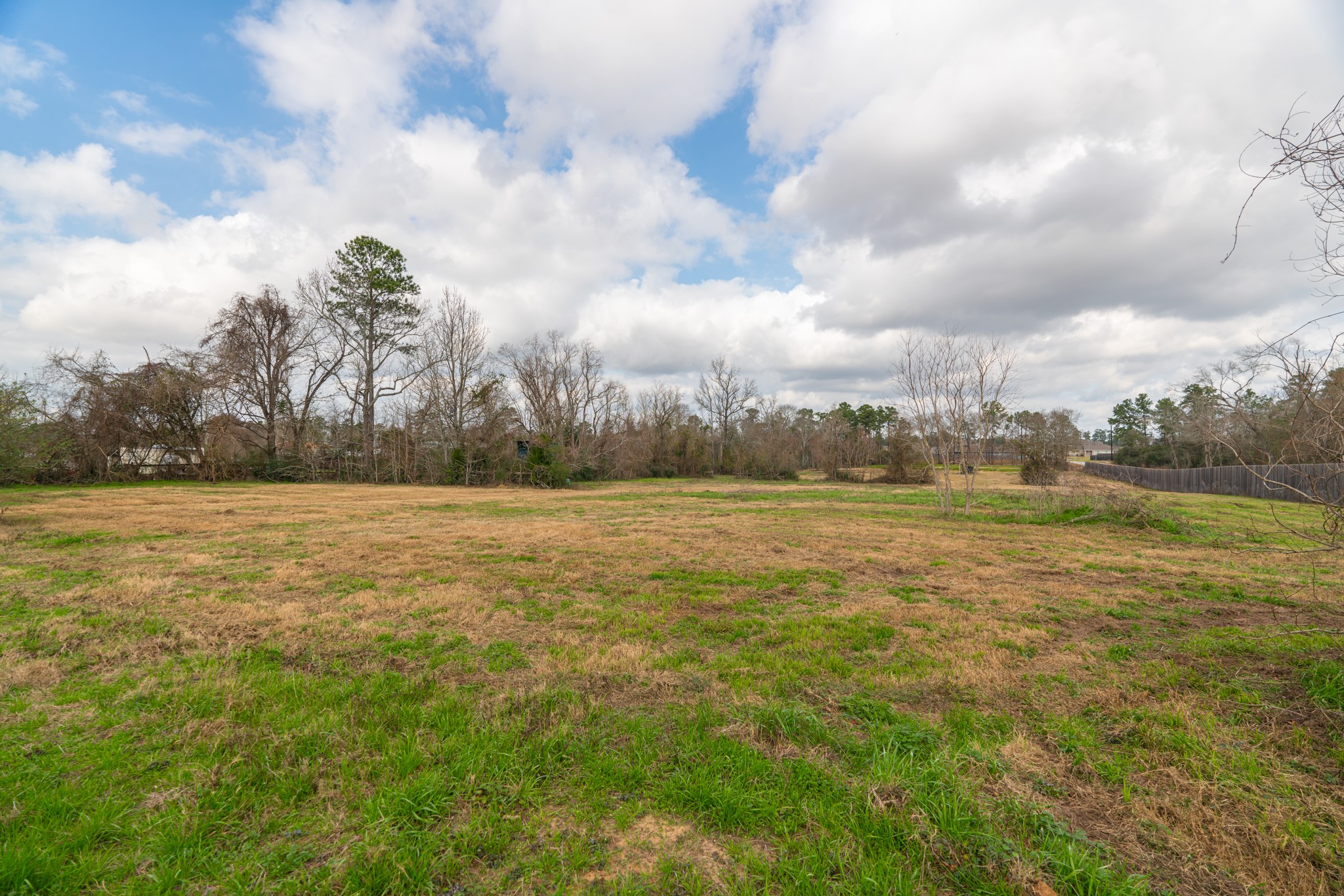 25503 Hufsmith Cemetery Road Tomball, TX 77375 - Photo 16 of 24 Looking across the open interior of this remarkable 5.44-acre parcel, the usable land is undeniably clear — with wide, flat terrain, a natural tree line providing privacy and character, and ample room to design exactly the layout your project demands. Unrestricted and ready in one of Tomball's fastest-growing investment corridors.