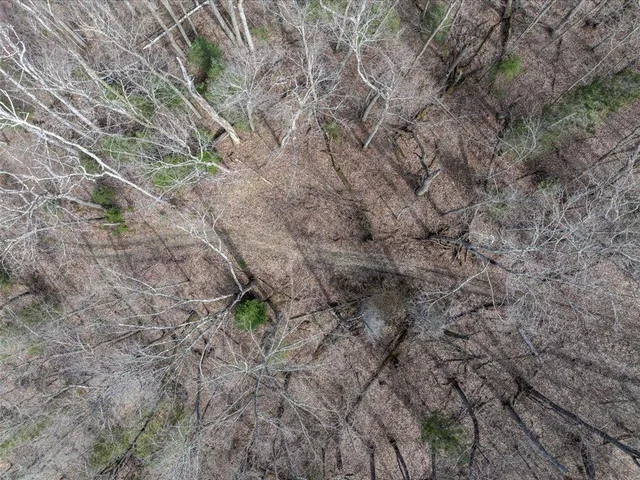 $1,100,000 | Tbd 640th Lane, Jacobson, MN 55752