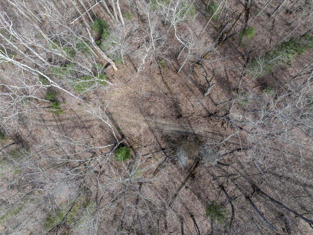 Tbd 640th Lane Jacobson, MN 55752 - Photo 22 of 56