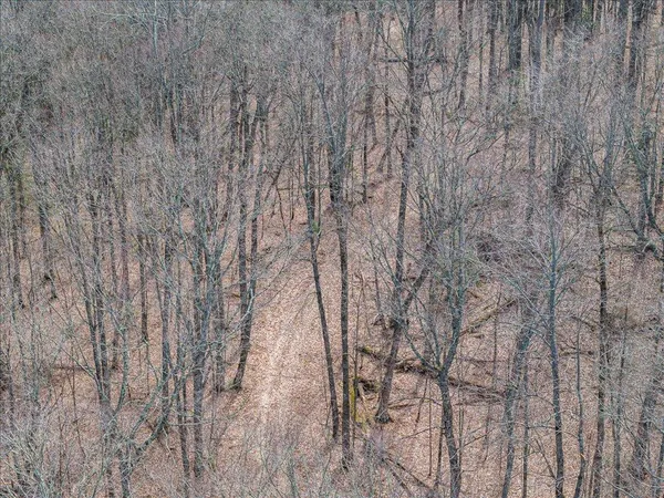 $1,100,000 | Tbd 640th Lane, Jacobson, MN 55752