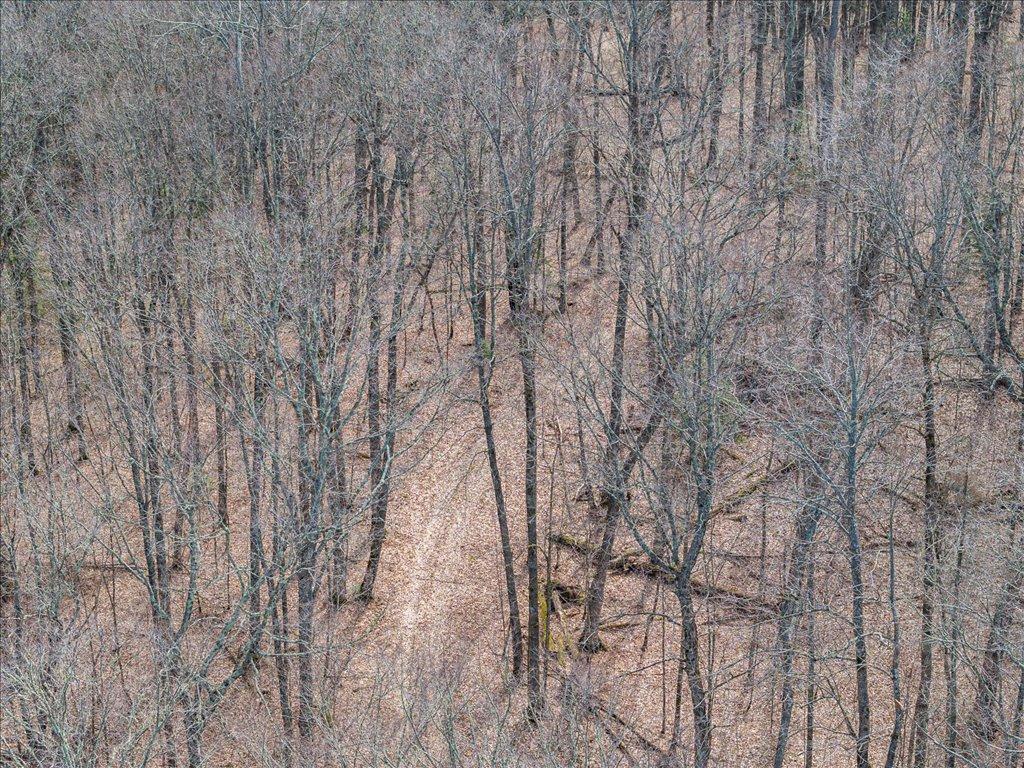 Tbd 640th Lane Jacobson, MN 55752 - Photo 23 of 56