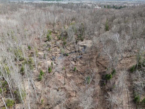 $1,100,000 | Tbd 640th Lane, Jacobson, MN 55752