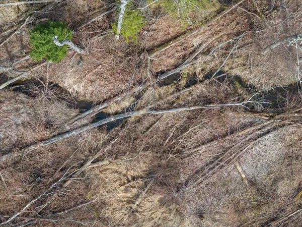 $1,100,000 | Tbd 640th Lane, Jacobson, MN 55752