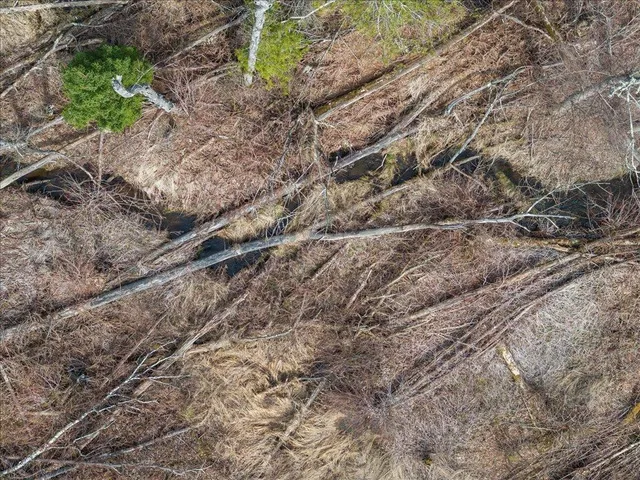 $1,100,000 | Tbd 640th Lane, Jacobson, MN 55752