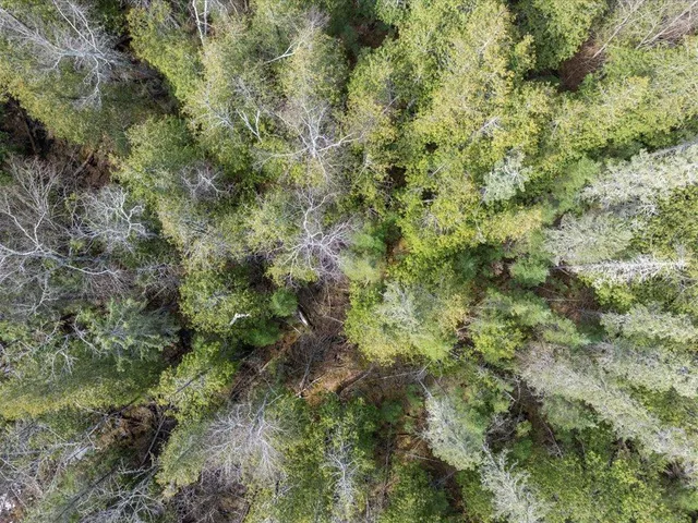 $1,100,000 | Tbd 640th Lane, Jacobson, MN 55752