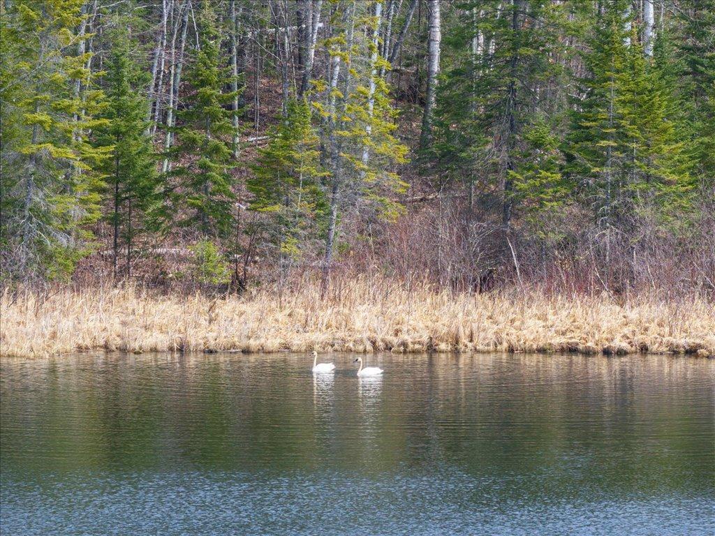 Tbd 640th Lane Jacobson, MN 55752 - Photo 37 of 56