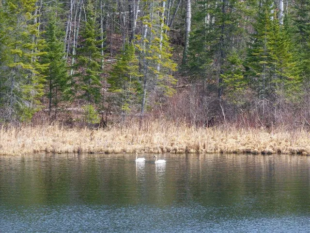 $1,100,000 | Tbd 640th Lane, Jacobson, MN 55752