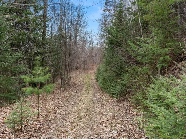 $1,100,000 | Tbd 640th Lane, Jacobson, MN 55752