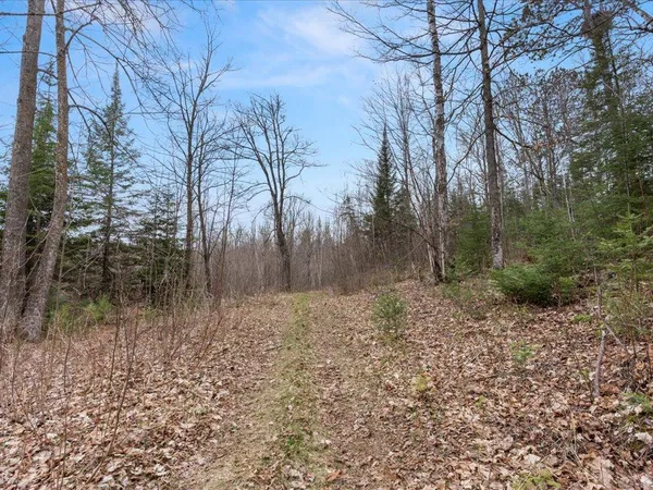 $1,100,000 | Tbd 640th Lane, Jacobson, MN 55752