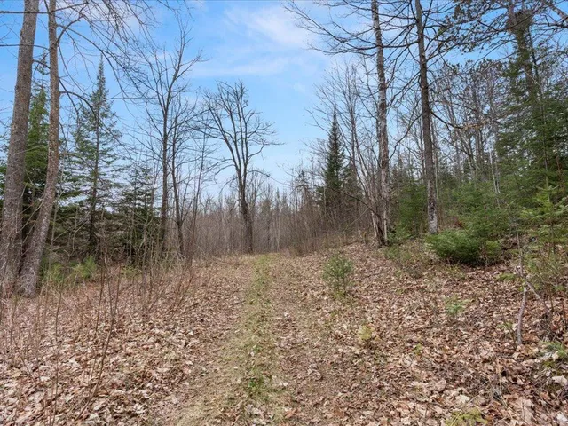 $1,100,000 | Tbd 640th Lane, Jacobson, MN 55752