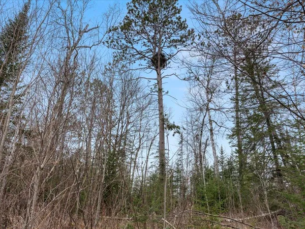$1,100,000 | Tbd 640th Lane, Jacobson, MN 55752