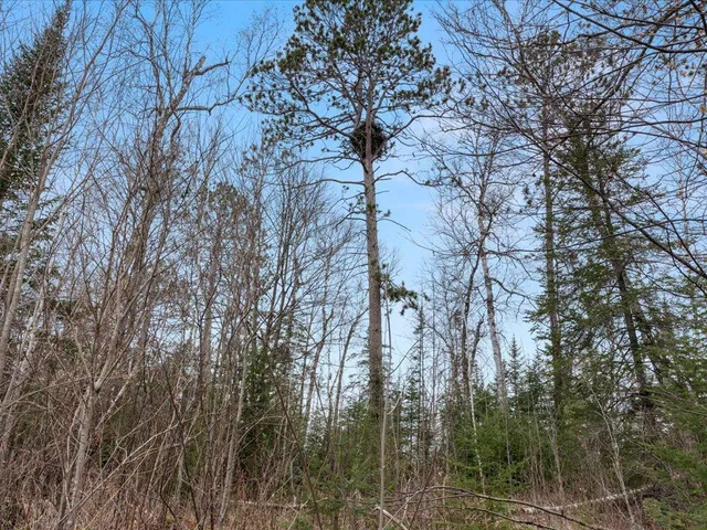 $1,100,000 | Tbd 640th Lane, Jacobson, MN 55752