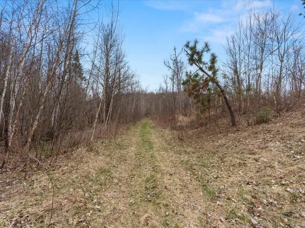 $1,100,000 | Tbd 640th Lane, Jacobson, MN 55752