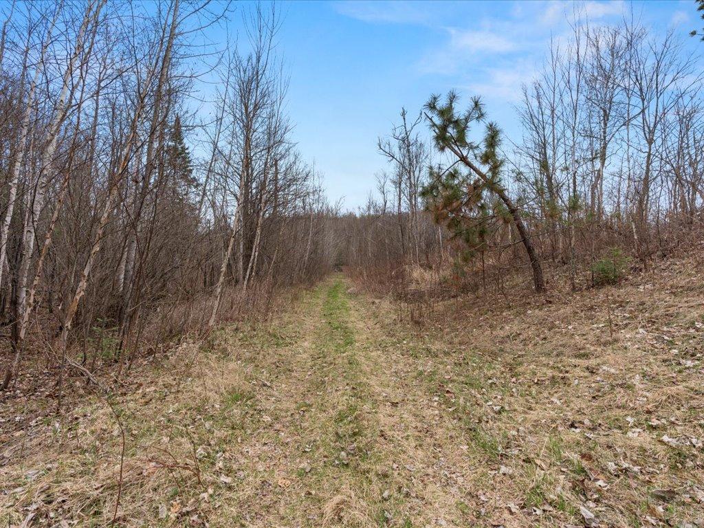 Tbd 640th Lane Jacobson, MN 55752 - Photo 56 of 56