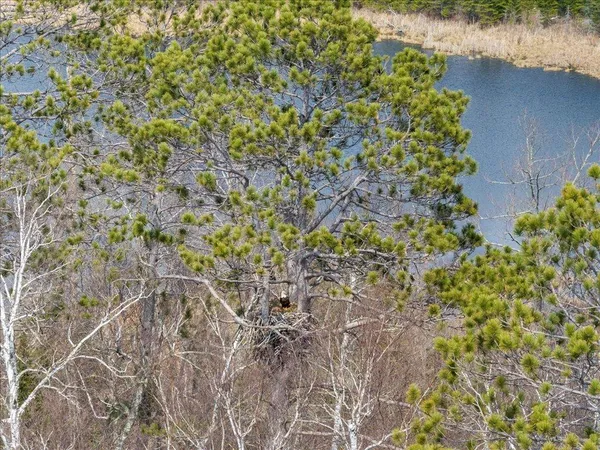 $1,100,000 | Tbd 640th Lane, Jacobson, MN 55752