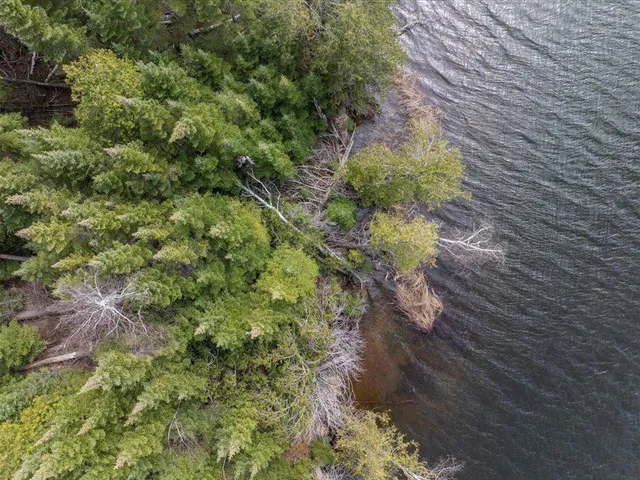 $1,100,000 | Tbd 640th Lane, Jacobson, MN 55752