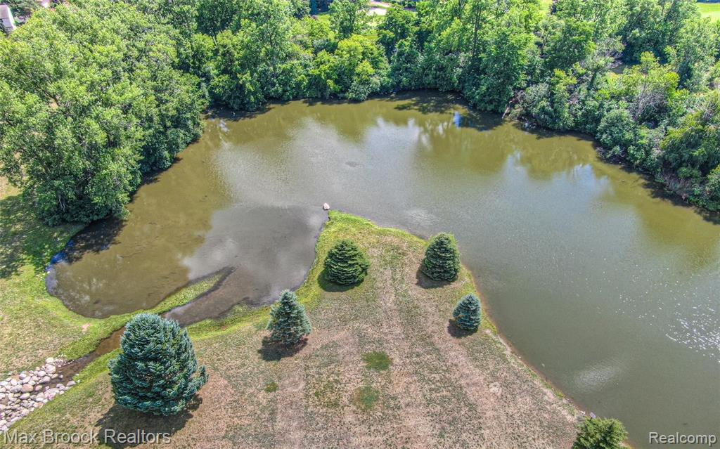 810 Langley Road Rochester Hills, MI 48309 - Photo 5 of 45