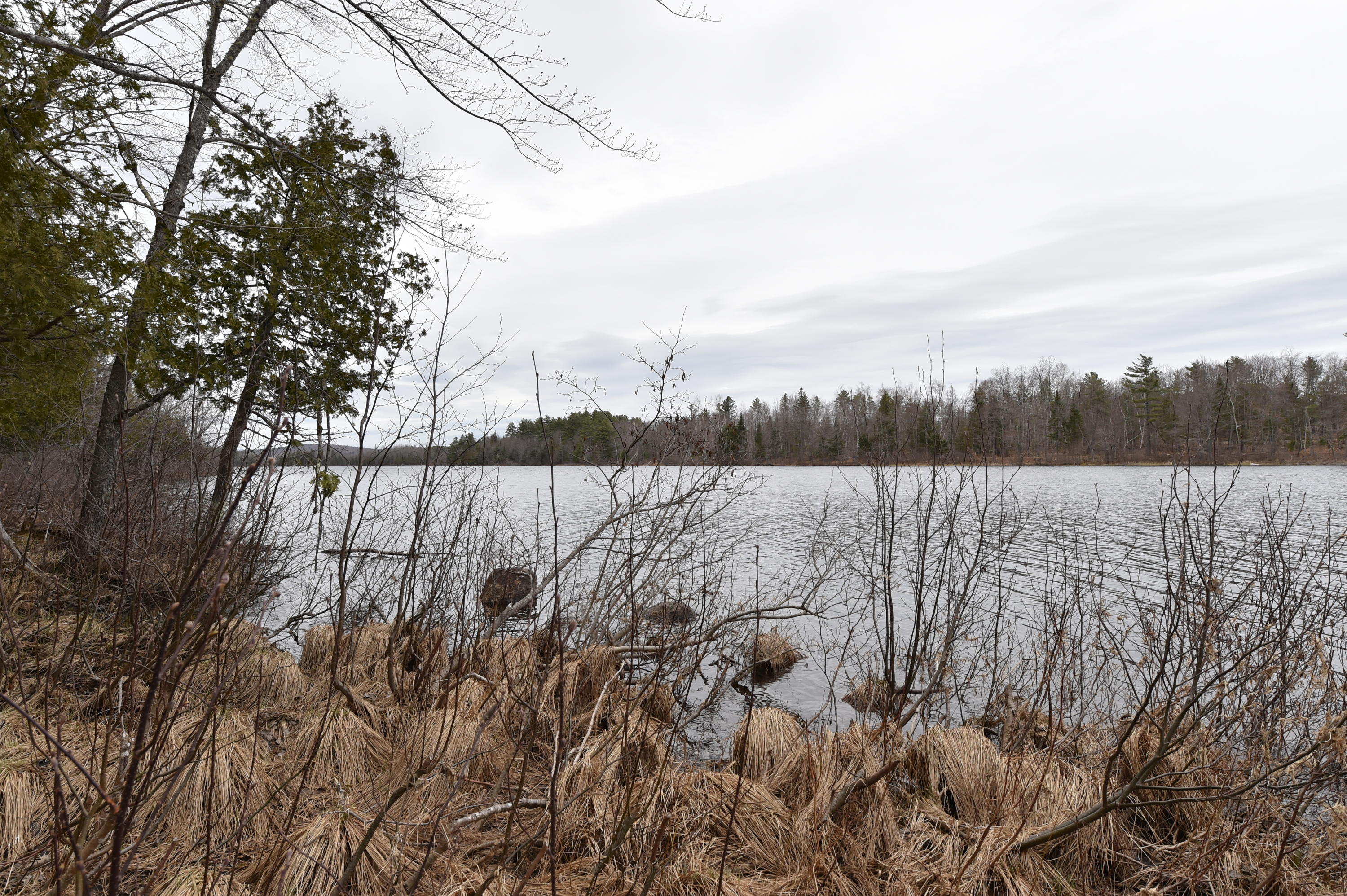93 Deste Road Milo, ME 04463 - Photo 57 of 59 DSC_6194