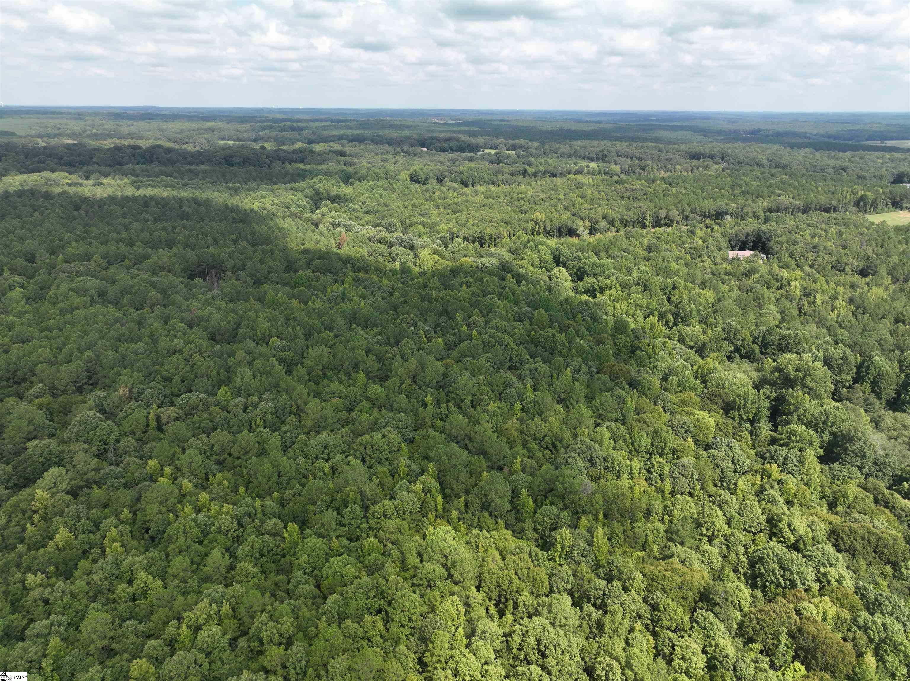580 Gillespie Road Iva, SC 29655 - Photo 9 of 15