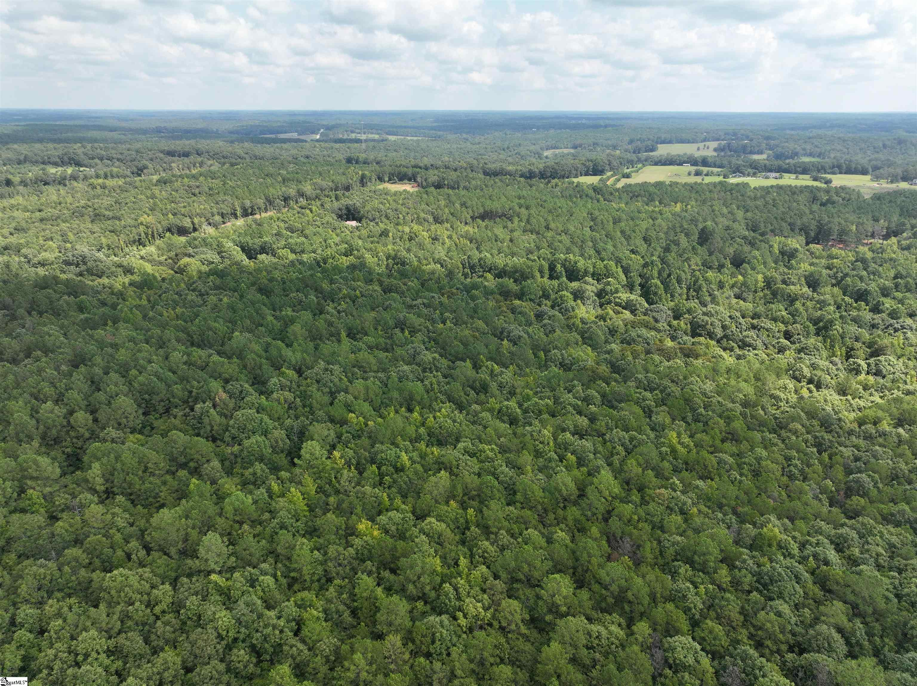 580 Gillespie Road Iva, SC 29655 - Photo 10 of 15