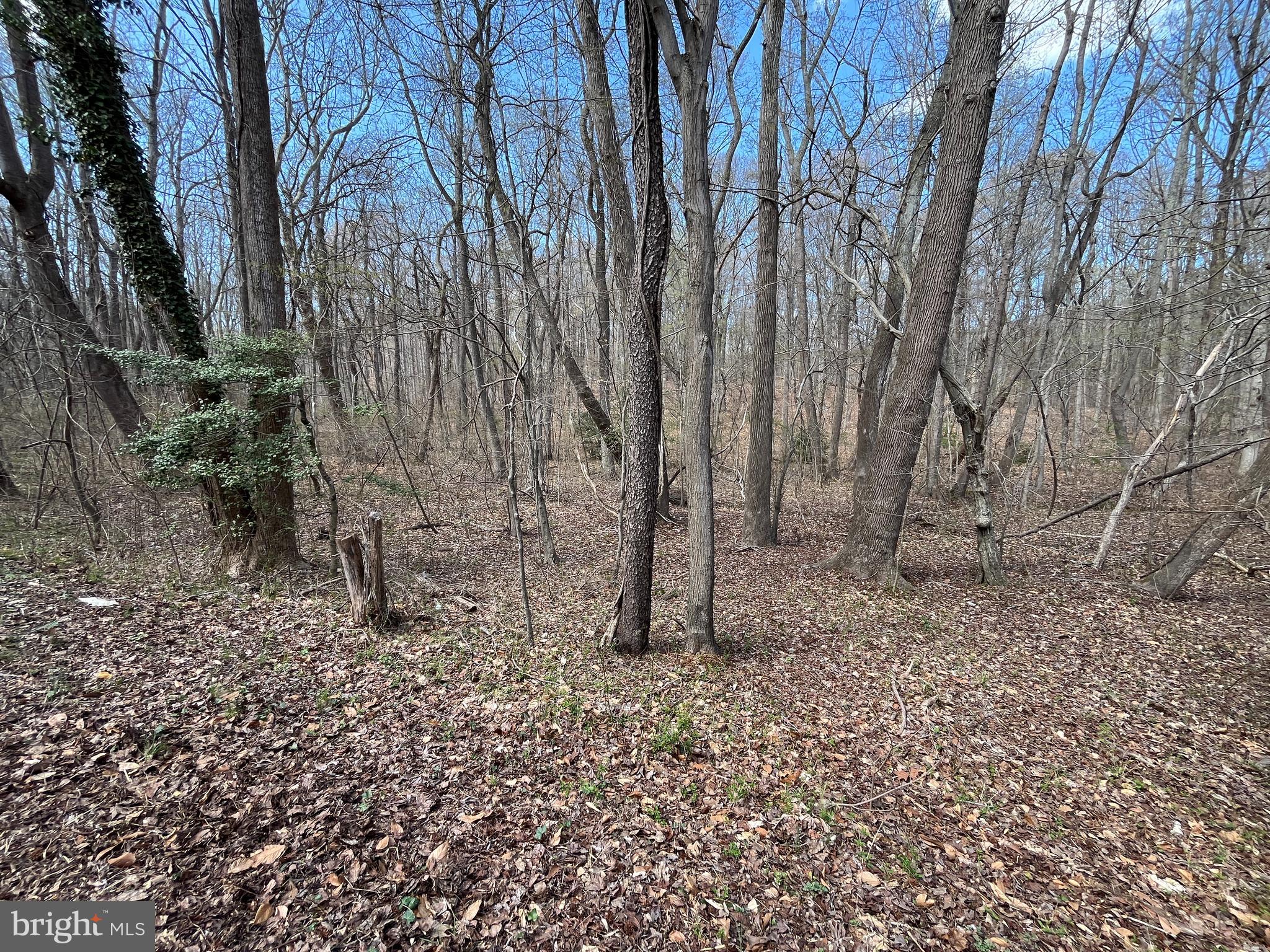 4780 Breezy Point Road Chesapeake Beach, MD 20732 - Photo 10 of 22 Gallery Image 10