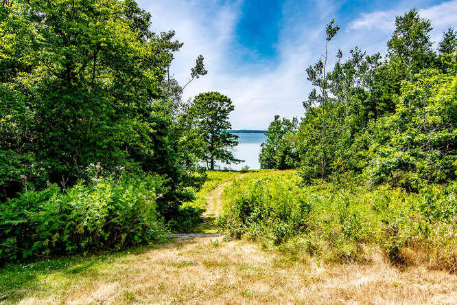 240 Reach Road Brooklin, ME 04616 - Photo 3 of 37 Ocean View