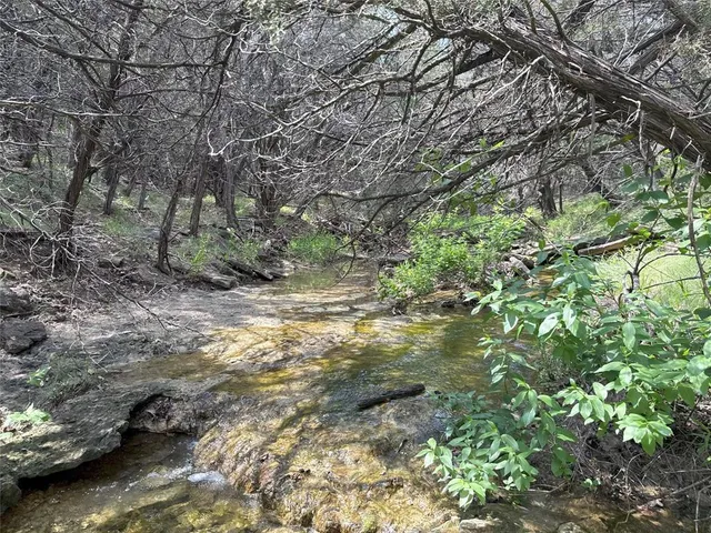 a view of a bunch of trees