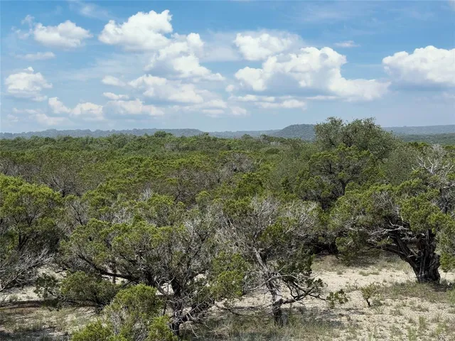 a view of a bunch of trees in a field