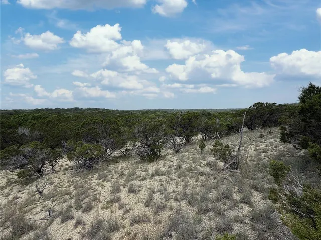 a view of a field with trees in the background