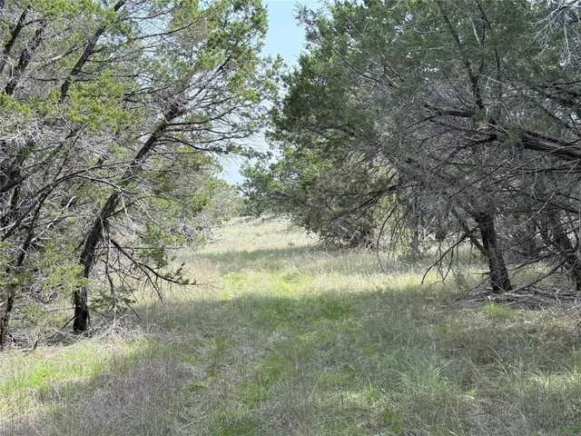a view of car parked on road with trees