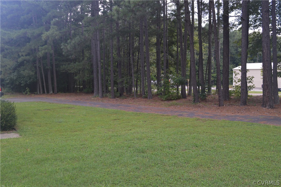 7308 Trinity Church Road Church Road, VA 23833 - Photo 25 of 37 a view of outdoor space with green field and trees