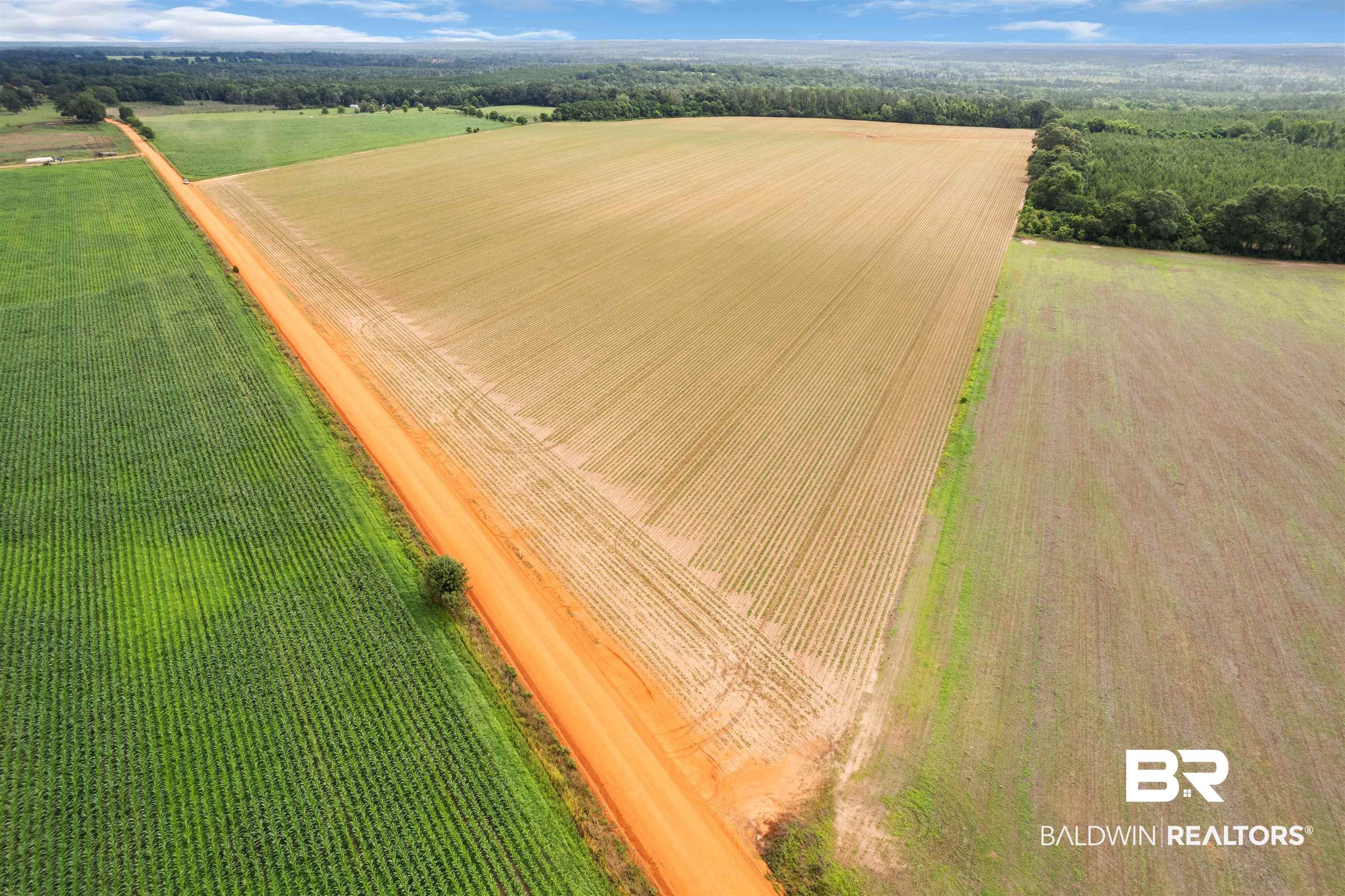 0 Old Stage Road Repton, AL 36475 - Photo 14 of 27 Gallery Image 14