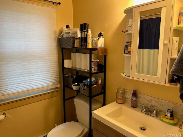 a bathroom with a sink and a toilet